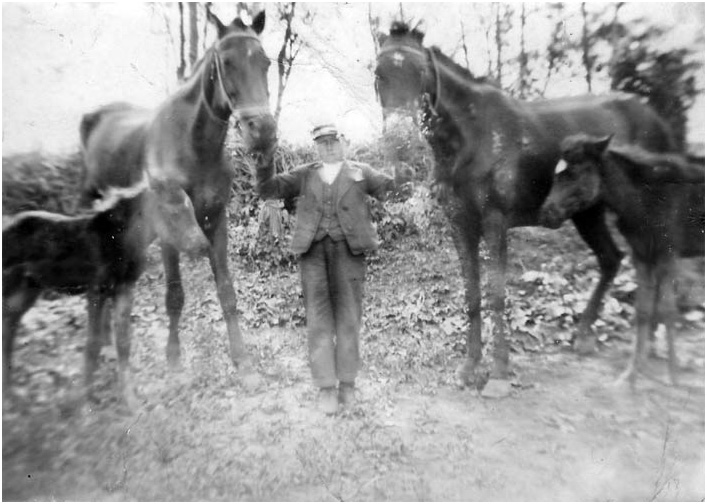 Bild "JohannBaron.jpg"