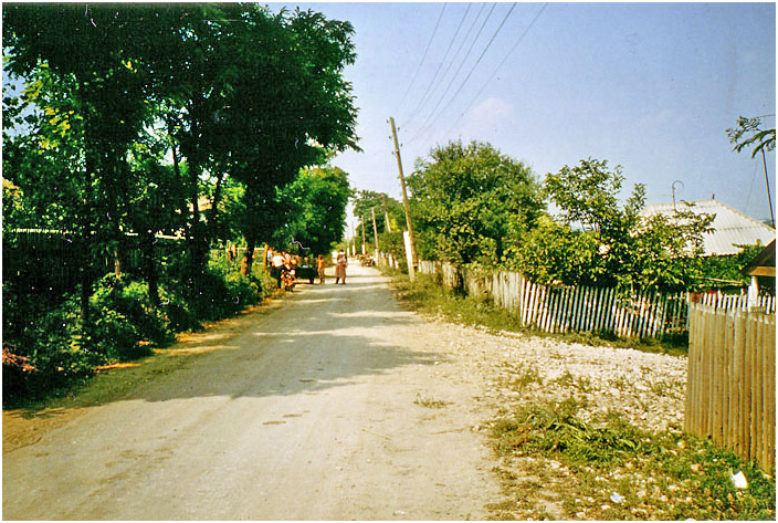 Bild "Scholtoi1988-02.jpg"