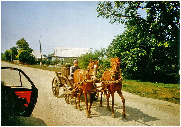 Bild "Scholtoi1988-07.jpg"