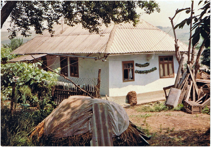 Bild "Scholtoi1990-21.jpg"