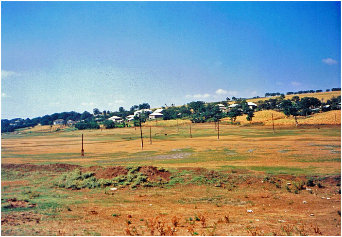 Bild "Scholtoi1993-01.jpg"