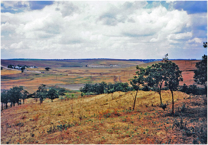 Bild "Scholtoi1993-02.jpg"