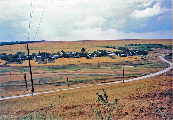 Bild "Scholtoi1993-03.jpg"