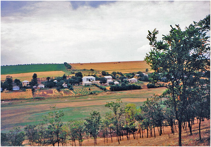 Bild "Scholtoi1993-04.jpg"