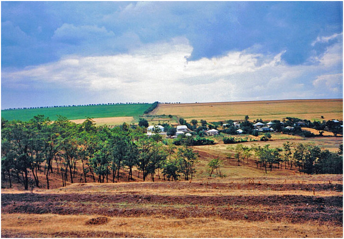 Bild "Scholtoi1993-05.jpg"