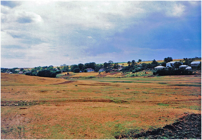 Bild "Scholtoi1993-08.jpg"