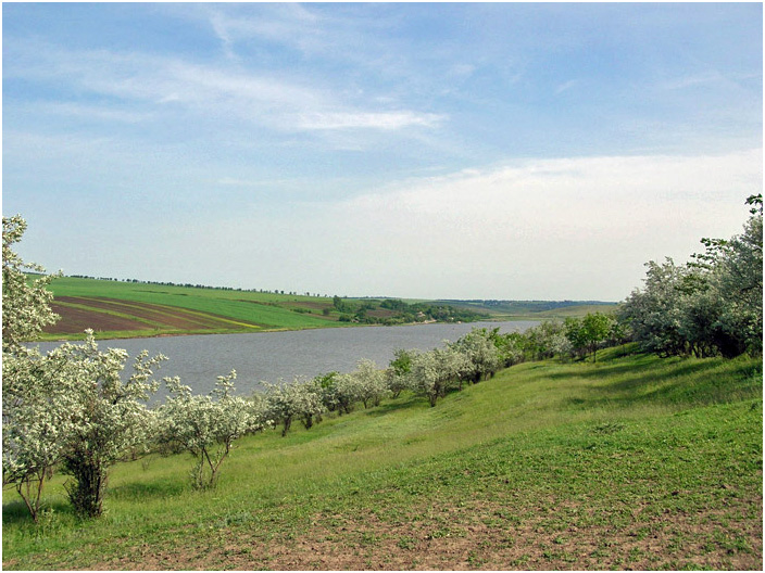 Bild "Scholtoi2008-09.jpg"