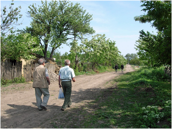 Bild "Scholtoi2008-12.jpg"