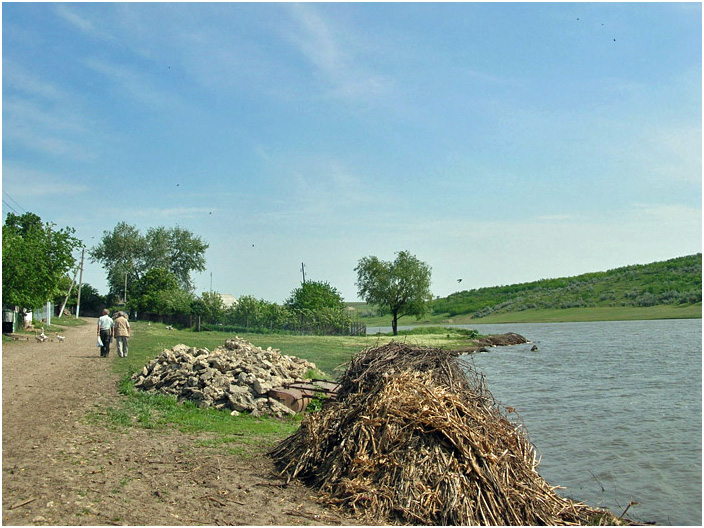 Bild "Scholtoi2008-13.jpg"