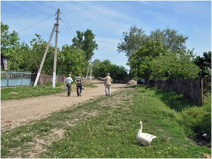 Bild "Scholtoi2008-14.jpg"