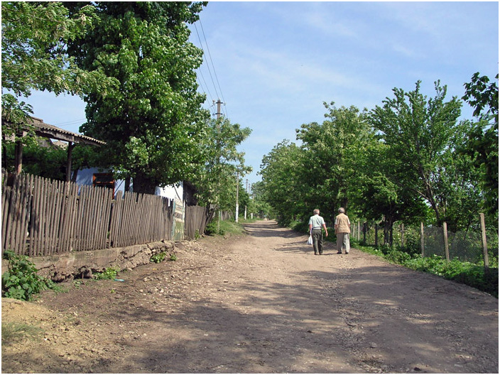 Bild "Scholtoi2008-17.jpg"