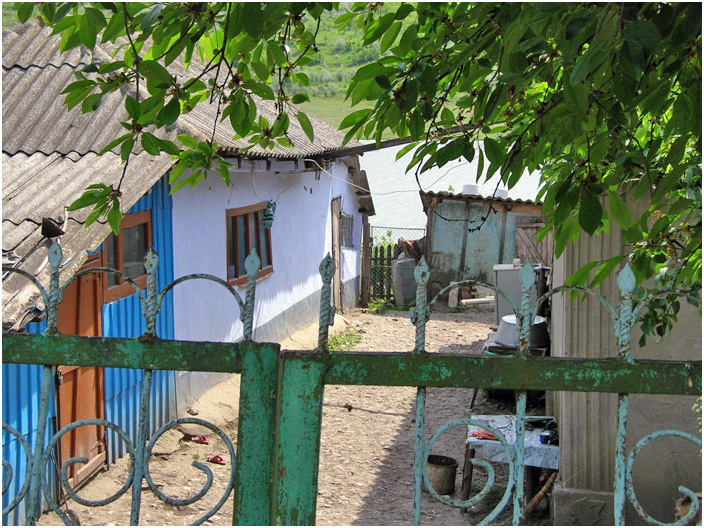 Bild "Scholtoi2008-20.jpg"