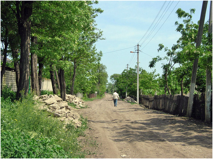 Bild "Scholtoi2008-21a.jpg"