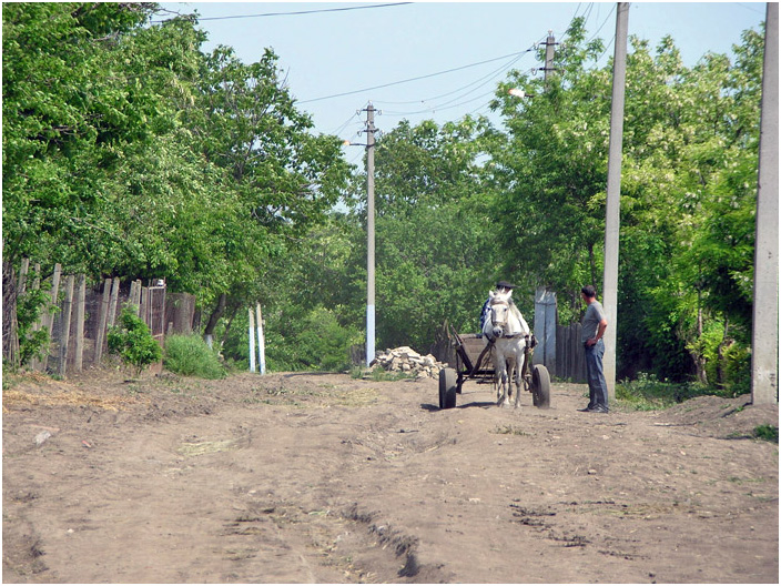 Bild "Scholtoi2008-29.jpg"