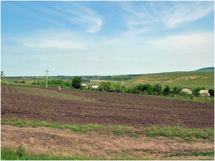 Bild "Scholtoi2008-37.jpg"