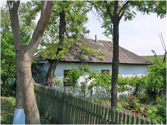 Bild "Scholtoi2008-45.jpg"