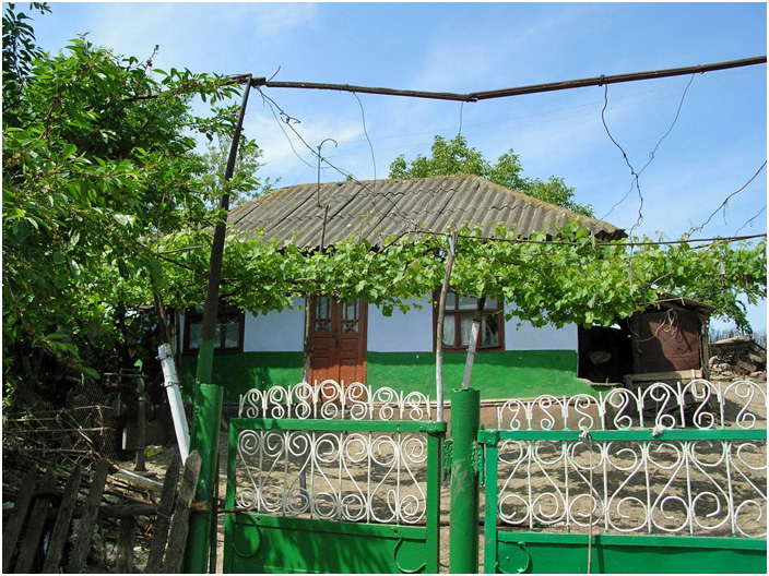 Bild "Scholtoi2008-46.jpg"