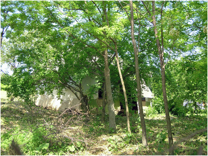 Bild "Scholtoi2008-48.jpg"