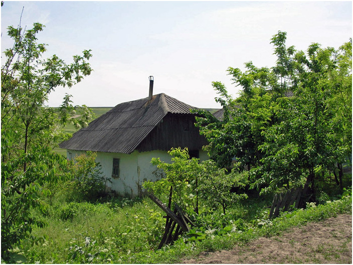 Bild "Scholtoi2008-50.jpg"