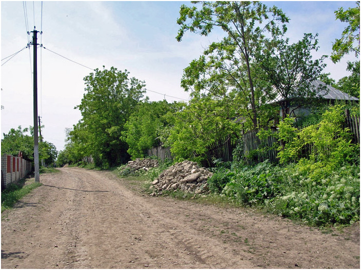 Bild "Scholtoi2008-52.jpg"