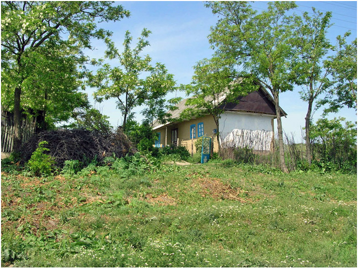 Bild "Scholtoi2008-54.jpg"