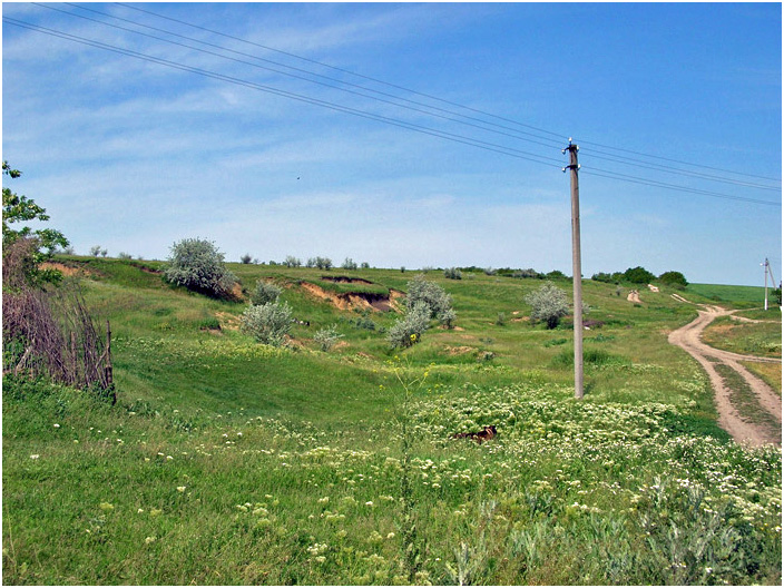 Bild "Scholtoi2008-55.jpg"