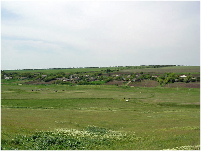 Bild "Scholtoi2008-61.jpg"