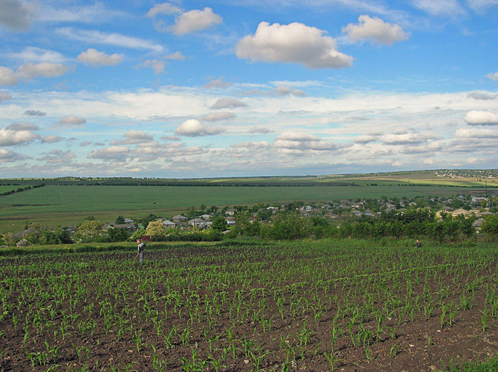 Bild "Scholtoi2009-30.JPG"