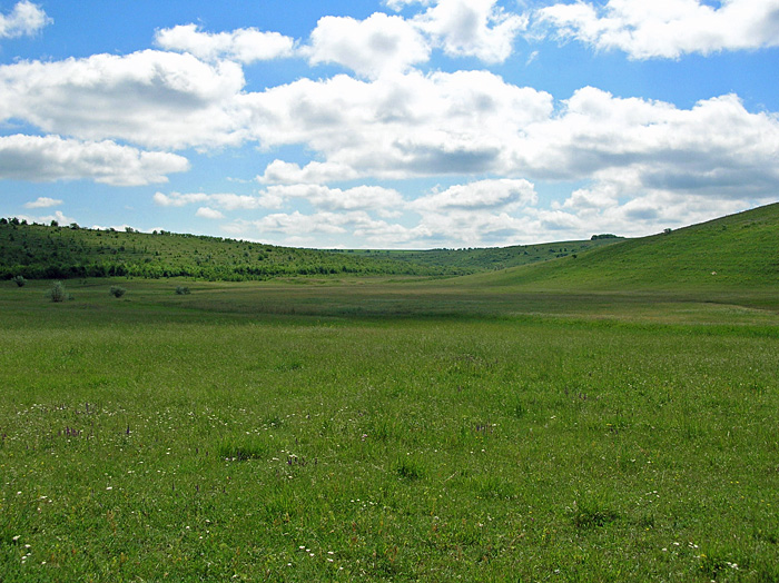 Bild "Scholtoi2009-46.JPG"