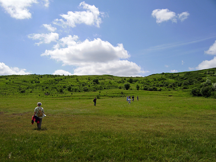 Bild "Scholtoi2009-47.JPG"