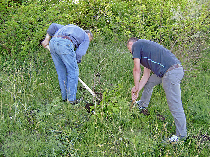 Bild "Scholtoi2009-66.JPG"