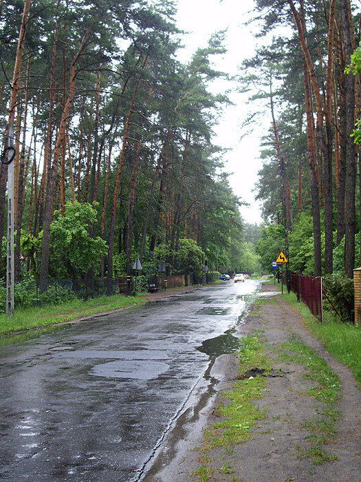 Bild "Scholtoi2009-81.JPG"