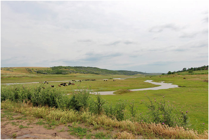 Bild "Scholtoi2013-07.JPG"