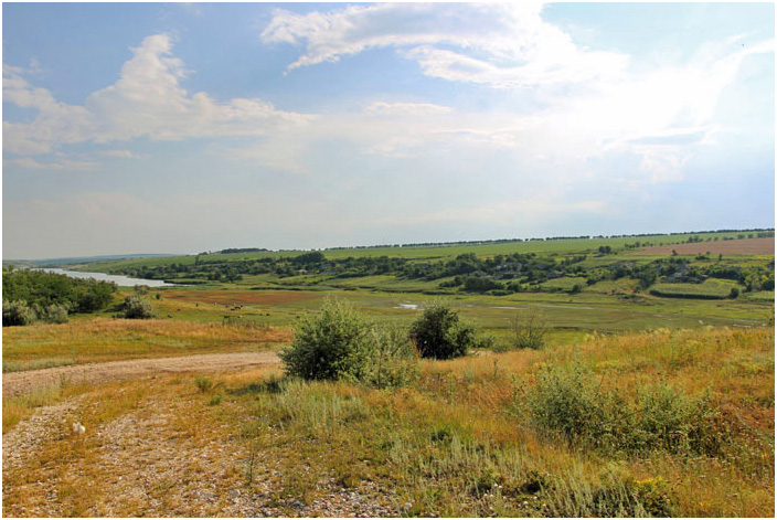 Bild "Scholtoi2013-100.JPG"