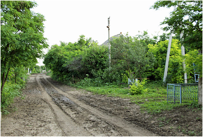 Bild "Scholtoi2013-104.JPG"