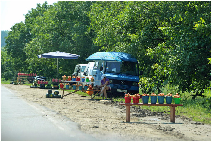 Bild "Scholtoi2013-107.JPG"