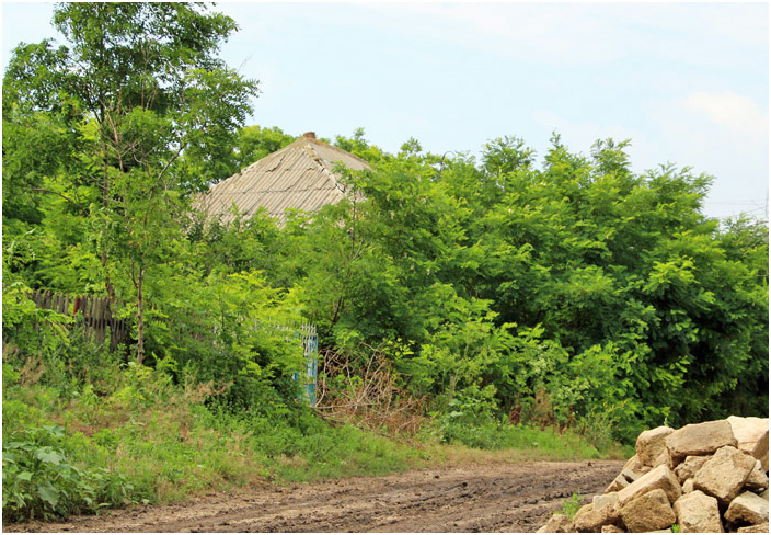 Bild "Scholtoi2013-13.JPG"