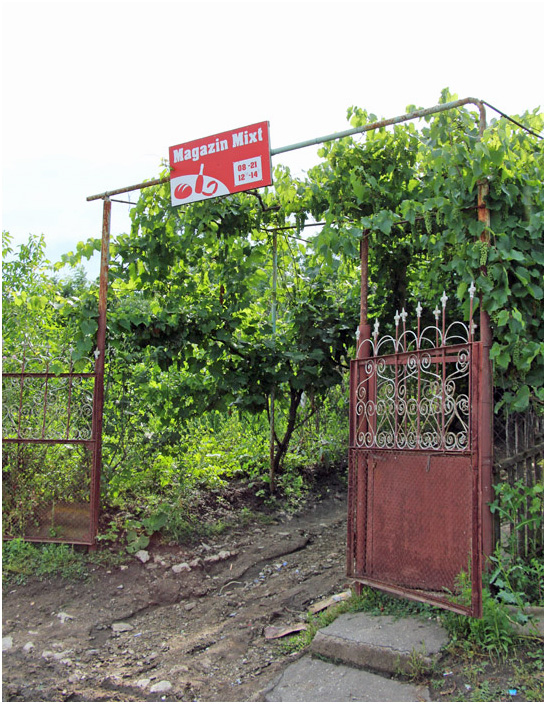 Bild "Scholtoi2013-26.JPG"