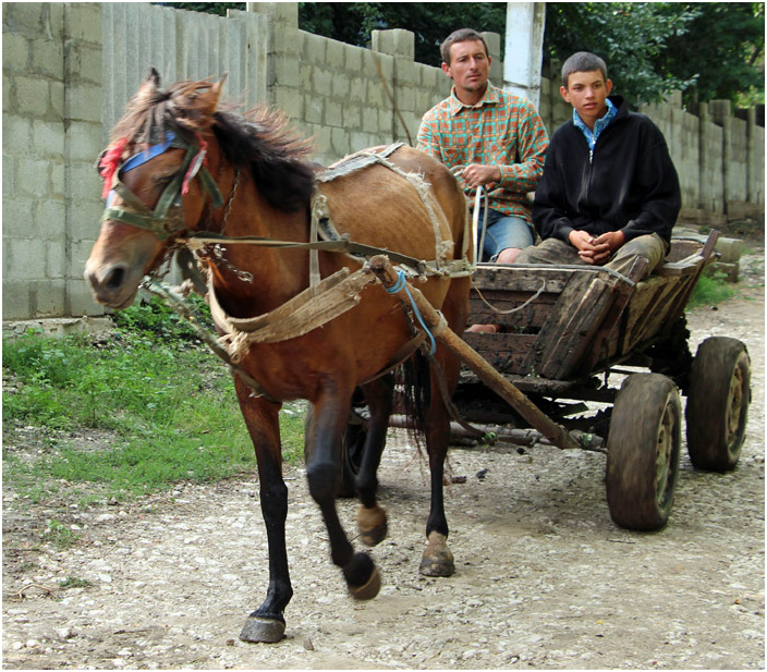 Bild "Scholtoi2013-34.JPG"