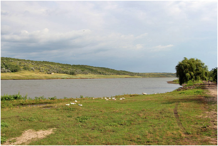 Bild "Scholtoi2013-36.JPG"