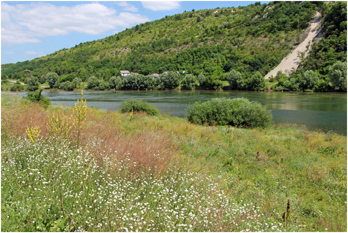 Bild "Scholtoi2013-43.JPG"