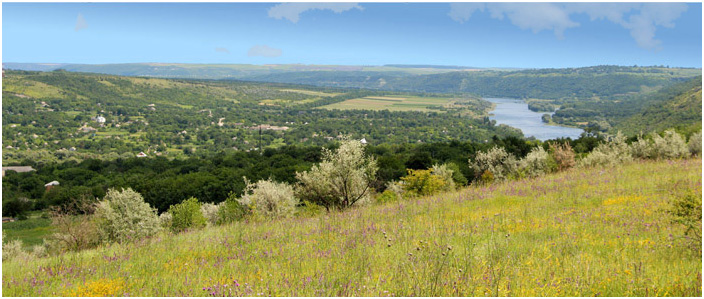 Bild "Scholtoi2013-51.JPG"