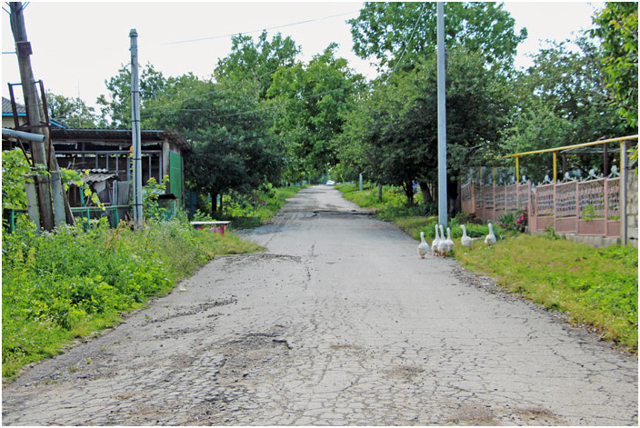 Bild "Scholtoi2013-53.JPG"