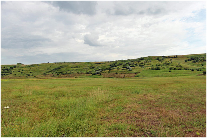 Bild "Scholtoi2013-77.JPG"