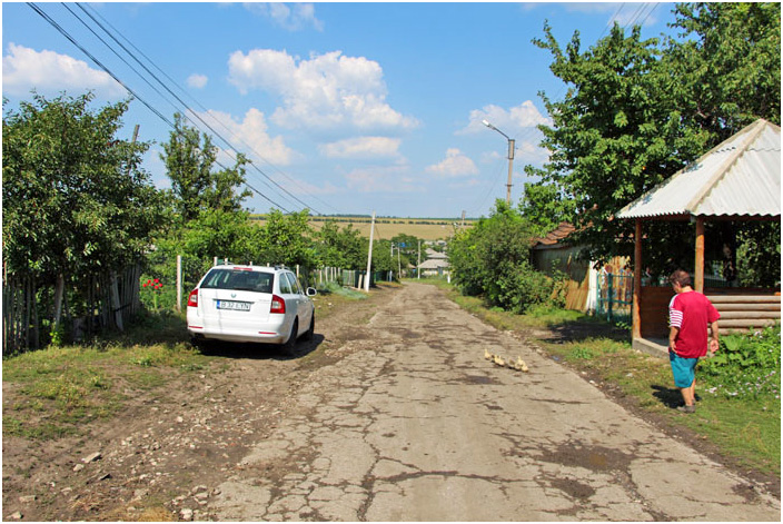 Bild "Scholtoi2013-81.JPG"