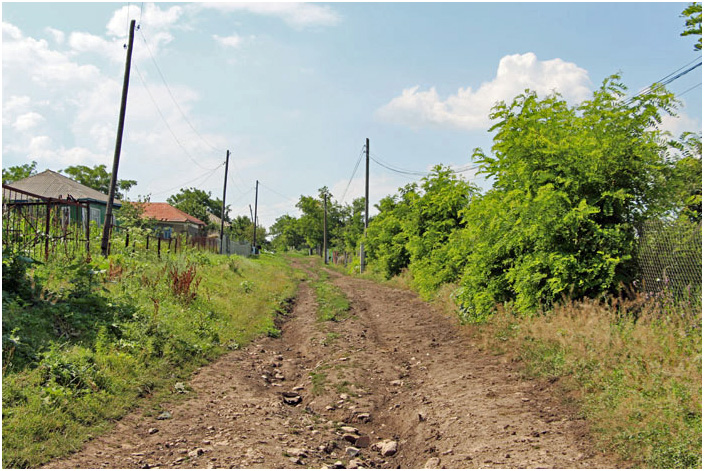 Bild "Scholtoi2013-82.JPG"