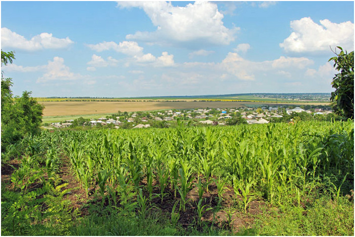 Bild "Scholtoi2013-90.JPG"