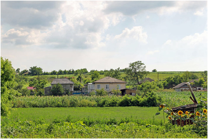 Bild "Scholtoi2013-96.JPG"